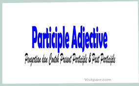 Contoh kalimat nominal simple present contoh paragraf simple present tense. Participle Adjective Pengertian Dan Contoh Present Participle Past Participle