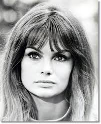 Toni Ashe (ashe1265) — Perfil