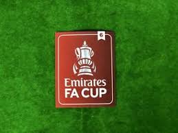 Segundo a federação, o novo logo foi projetado para celebrar a rica herança e tradição da competição com um visual novo e premium a ser. Official The Emirates Fa Cup 2020 21 Winners 6 Patch Manchester City Newcastle Ebay