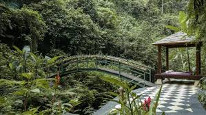 Maybe you would like to learn more about one of these? Hanging Gardens Of Bali Hotels In Heaven
