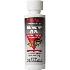 Amazon Com Kordon 37344 Methylene Blue General Disease Prevention Treatment For Aquarium 4 Ounce Blues Purples Pet Supplies