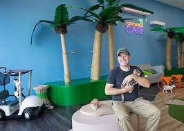 United states of america, state of florida, collier county, naples. Cattyshack Is Purr Fectly Pawsome Place To Make A Furry Friend Fgcu 360