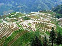 صور اجمل منظر في الكون مناظر طبيعيه خلابة vietnam holidays world rice terraces