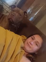 Lost Dog in Bobtown Area