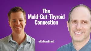 The Gut-Mold-Thyroid Connection with Evan Brand