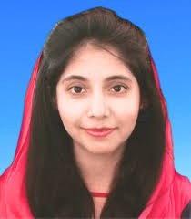 prospectus sindehilianwali