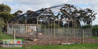 Grape, raspberry, hops, and passion fruit vines require trellises at least four or five feet tall and ten to twenty feet long. Backyard Orchard Netted Structures Leaf Root Fruit Gardening Services