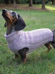 The editors of publications international, ltd. New Knitting Patterns Top Down Mini Daschund Dog Sweater Knit Pattern
