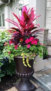 Shop indoor and outdoor plant holders such as hanging pots, rail planters and more. 65 Big Planters Ideas Container Gardening Garden Containers Container Plants