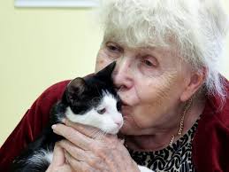 Founders bark at each other after IRS questions Paws 2 Help's spending