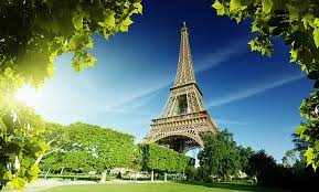 352 paris hd wallpapers and background images. Hd Wallpaper Paris For Desktop Background Plant Tree Architecture Sky Wallpaper Flare