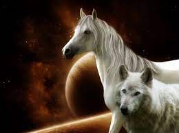 Horse And Wolf Desktop Nexus Wallpapers Horses Animals Animals Wild