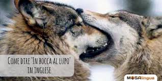 Come Si Dice In Bocca Al Lupo In Inglese