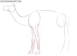 We hope you're going to follow along with us. How To Draw A Camel Easy Drawing Art