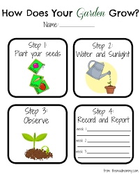 Planting A Kcup Garden Plant Life Cycle Worksheet Kindergarten Worksheets Plant Life Cycle