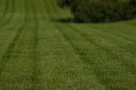217 n 12th st new castle, indiana; The 10 Best Lawn Care Services In Indianapolis In From 39