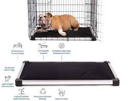 Maybe you would like to learn more about one of these? Indestructible Dog Beds Reviews Tough Chew Proof Crate Pads 2021
