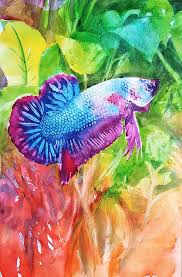 Plakat fancy adalah pionir dari semua jenis ikan cupang plakat yang ada di dunia maupun di indonesia karena awal kemunculannya benar benar menggemparkan. Fancy Plakat Painting By Betta Painter