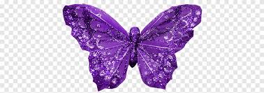 And you can find a lot of butterfly photos on this page, but on the page where you are now the butterflies are colored in all different kinds of fantasy colors. Purple Butterfly Png Pngegg
