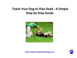 One common reason is a lack of early. Teach Your Dog To Play Dead A Simple Step By Step Guide