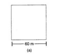 Pin By Ncert Solutions On Cbse Tuts Math Class 8 Solutions