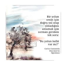 Bir Yolun Senin Icin Dogru Yol Olup Olmadigini Anlamak Icin Sorman Gereken Tek Soru Bu Yolun Kalbi Var Mi Carlos Castaneda Don Juan 2020 Edebiyat Reiki Avatar