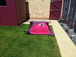 Cuprinol Garden Shades Summer Damson Dusky Gem Beanbag Beanbagbazaar Bazaar Bag Pug Outdoor Blanket Picnic Blanket Outdoor