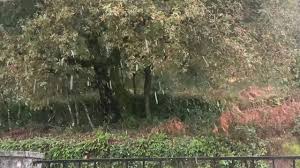 Portugal qualified for the euro 2020. Portugal 2020 Primeira Neve Youtube
