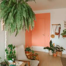 Maybe you would like to learn more about one of these? 9 Ferns To Grow Indoors