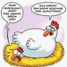 Sen Benim Gozumde Hala Yumurtasin Komik Karikatur Komik Seyler