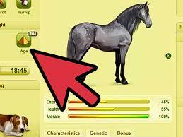 How To Get A 100 Blupped Horse On Howrse 5 Steps With Pictures