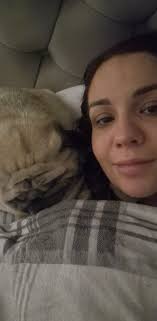 pug growth and cuteness