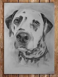 Weitere ideen zu ausmalbilder zum ausdrucken, ausmalbilder, ausmalen. Dalmatiner Zeichnung Hund Malen Zeichnungen Tiere Hund Zeichnen