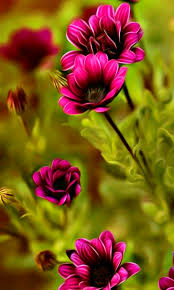All of these purple background images and vectors have high resolution and can be used as banners, posters or wallpapers. Earth Flower 480x800 Wallpaper Id 793193 Mobile Abyss