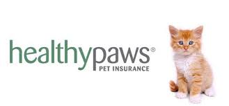 Healthy paws pet insurance plans. Healthy Paws Pet Insurance Embrace Pet Insurance Dog Insurance Pet Health Insurance