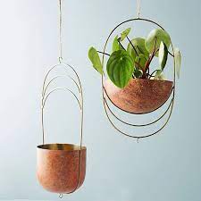 Maybe you would like to learn more about one of these? Best Hanging Plants And Planters The Strategist