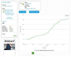 Timothy Sykes Review Stock Trading Teacher