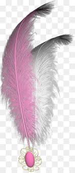 Watercolor cool parrot png bird set. Pink Feather Png Banner Pink Feathers Pink Feathers And Arrows Pink Feather Art Pink Feather Borders Pink Feather Plants Pink Feather Artwork Pink Feather Frames Pink Feather Gifs Pink Feather Drawing Pink Feather Backgrounds Pink Feather Masks Pink