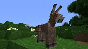 How do you breed horses on minecraft? Where To Find Donkeys In Minecraft Insider Voice