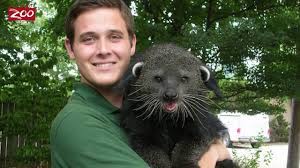 Becoming A Zoo Vet Dr Jimmy Johnson Interview Youtube