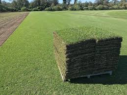 Accessibility, thickness of the existing turf being removed, the amount of cuttings required, and weather are the biggest determining factors. Sod Installation In Baton Rouge 225 454 9828
