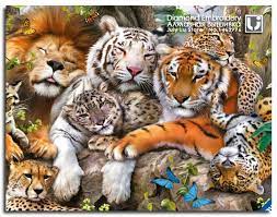 خدع بصرية كم حيوان في الصورة