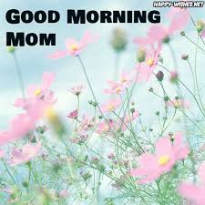 Download, share or upload your own one! Good Morning Mom Best Images Flower Wallpaper Mobile Wallpaper Iphone Background