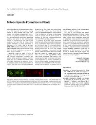 Check spelling or type a new query. Pdf Mitotic Spindle Formation In Plants