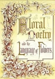 So also will the rich man fade away in the midst of his pursuits. Language Of Flowers Wikipedia
