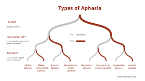 Use the words in brackets to make a sentence with though at the end. Aphasia Definitions National Aphasia Association