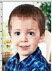 Luke, Logan, Morgan and Shawn Perry Obituary (2015)