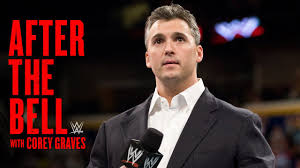Image result for shane mcmahon
