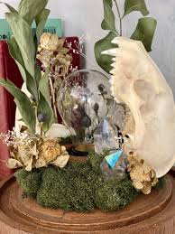 Meet Mandy Boyles: Oddities Artist