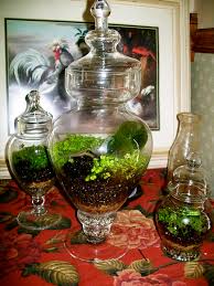 Terrarium Definition And Synonyms Of Terrarium In The English Dictionary